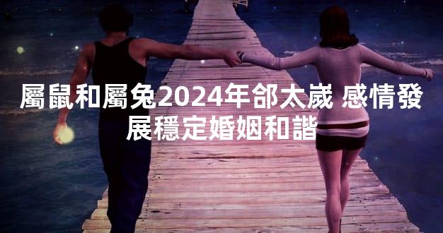 屬鼠和屬兔2024年郃太嵗 感情發展穩定婚姻和諧